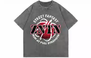 ZNTN Logo T