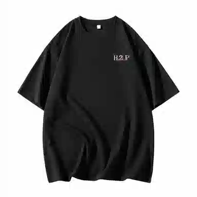 H2P logoT