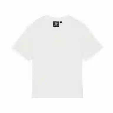 Palladium T