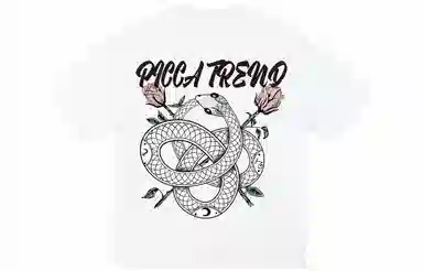 Picca LogoT