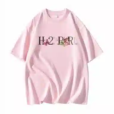 H2P logoT
