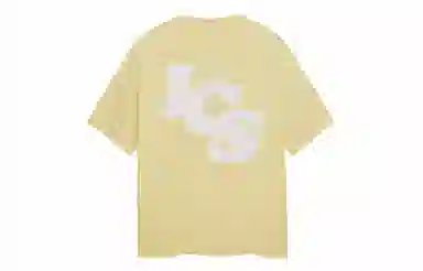 ICONS Lab logoT