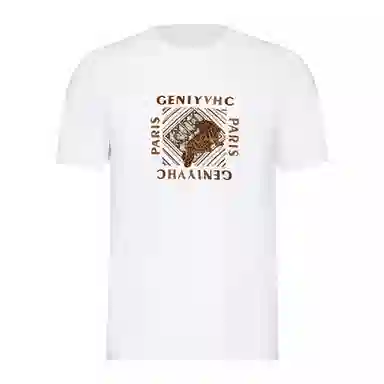 fdragon T