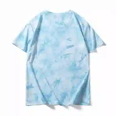 LISENPOK T