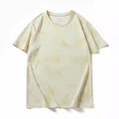 LISENPOK T