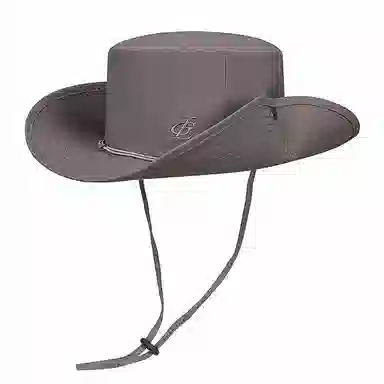 DZP
