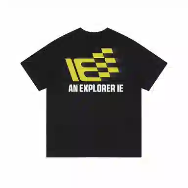 IE logoT