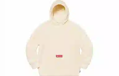 Supreme FW20 Week 14 Polartec Hooded Sweatshirt Logo