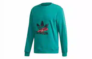 adidas originals Hoody Sweatshirt