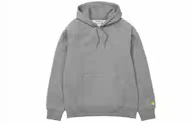 Carhartt WIP Hoodie Grey