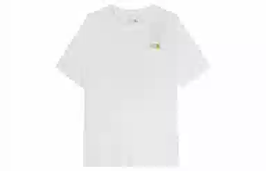 THE NORTH FACE logoT