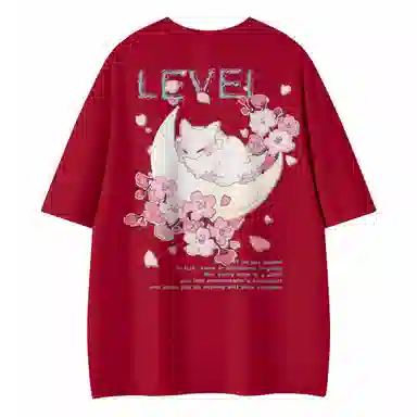 LEVEL T