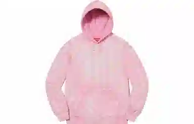 Supreme Brush Stroke Hooded Sweatshirt