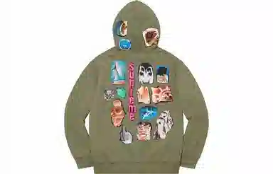 Supreme SS21 Week 9 Invert Hooded Sweatshirt
