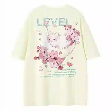 LEVEL T