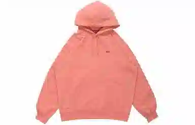 Supreme SS21 Week7 Small Box Hooded Sweatshirt Box Logo