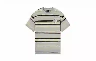 Palladium T