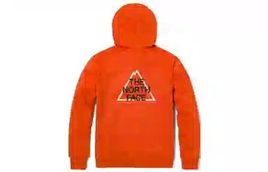 THE NORTH FACE Urban Exploration Logo