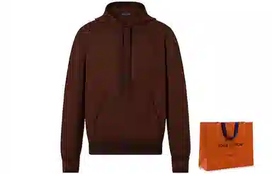 Louis Vuitton FW21 Hoodie Brown