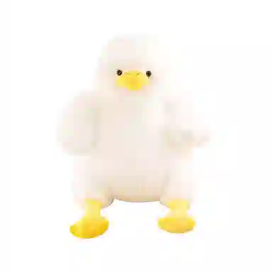 35cm60cm