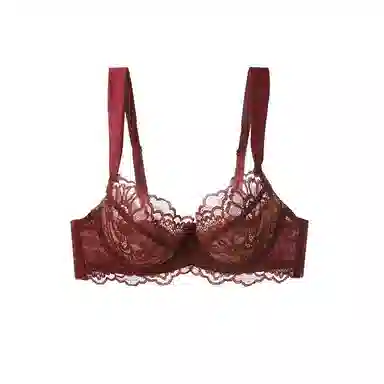 内在密码 法式蕾丝纯欲胸大显小防下垂性感文胸 女款
