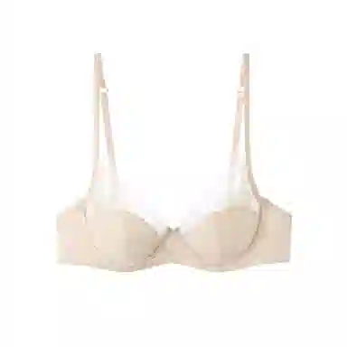 内在密码 薄款法式蕾丝大胸显小透气纯欲性感上托防下垂文胸 女款