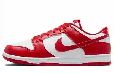 Nike Dunk TMS