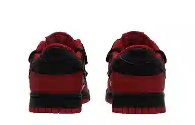 Nike Dunk TMS