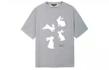 ICONS Lab T