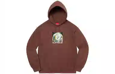 Supreme FW21 Ecstasy Hooded Sweatshirt