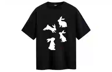 ICONS Lab T