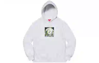 Supreme FW21 Ecstasy Hooded Sweatshirt