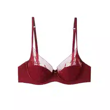 内在密码 薄款法式蕾丝大胸显小透气纯欲性感上托防下垂文胸 女款