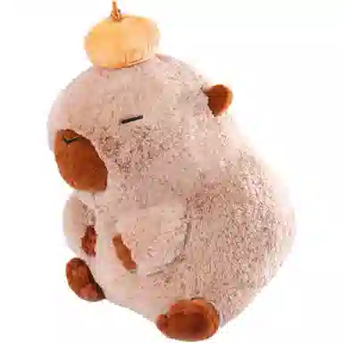 ZEIO 25cm