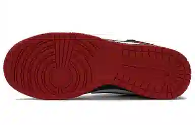 Nike Dunk TMS
