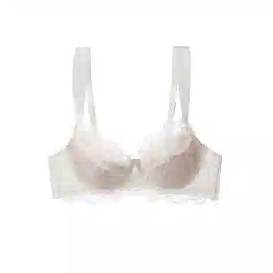 内在密码 法式蕾丝纯欲胸大显小防下垂性感文胸 女款