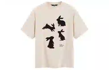 ICONS Lab T