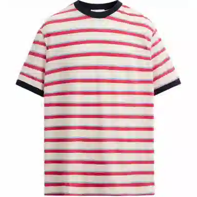 ZARA T