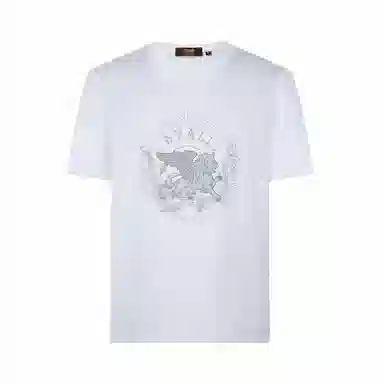 Cavalli Class T