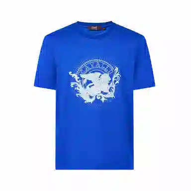 Cavalli Class T