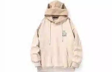 bt Hoodie