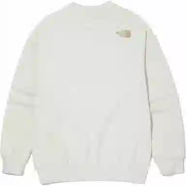 THE NORTH FACE Think Earth Sweatshirts Logo