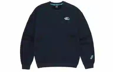 THE NORTH FACE Essential Overfit Eco Logo