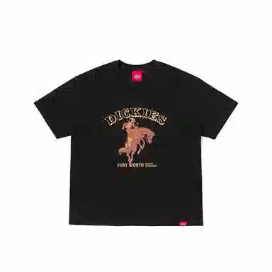 Dickies TDK0A88DW