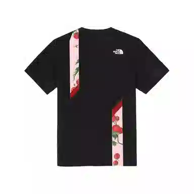 THE NORTH FACE T
