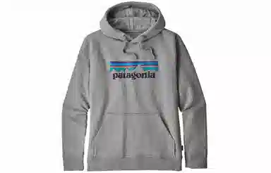 patagonia Logo