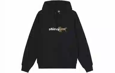 Stussy Sport Embroidered Hoodie