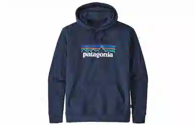 patagonia Logo
