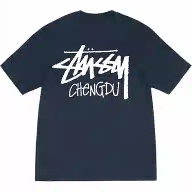 Stussy SS25