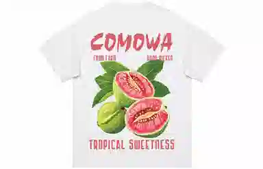 COMOWA LogoT